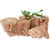 МОРЕПРОДУКТИ ТА КОНСЕРВИ